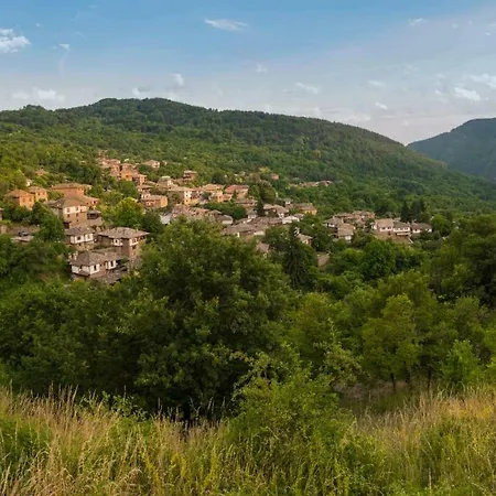 пачаловата къща *